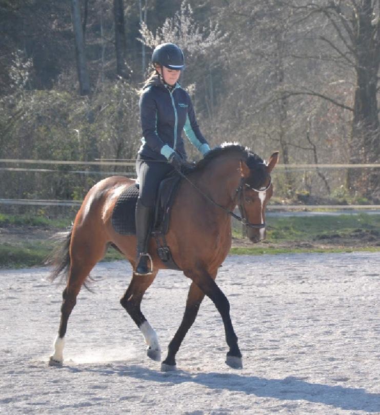 DSP Jq café latte hit billede 8