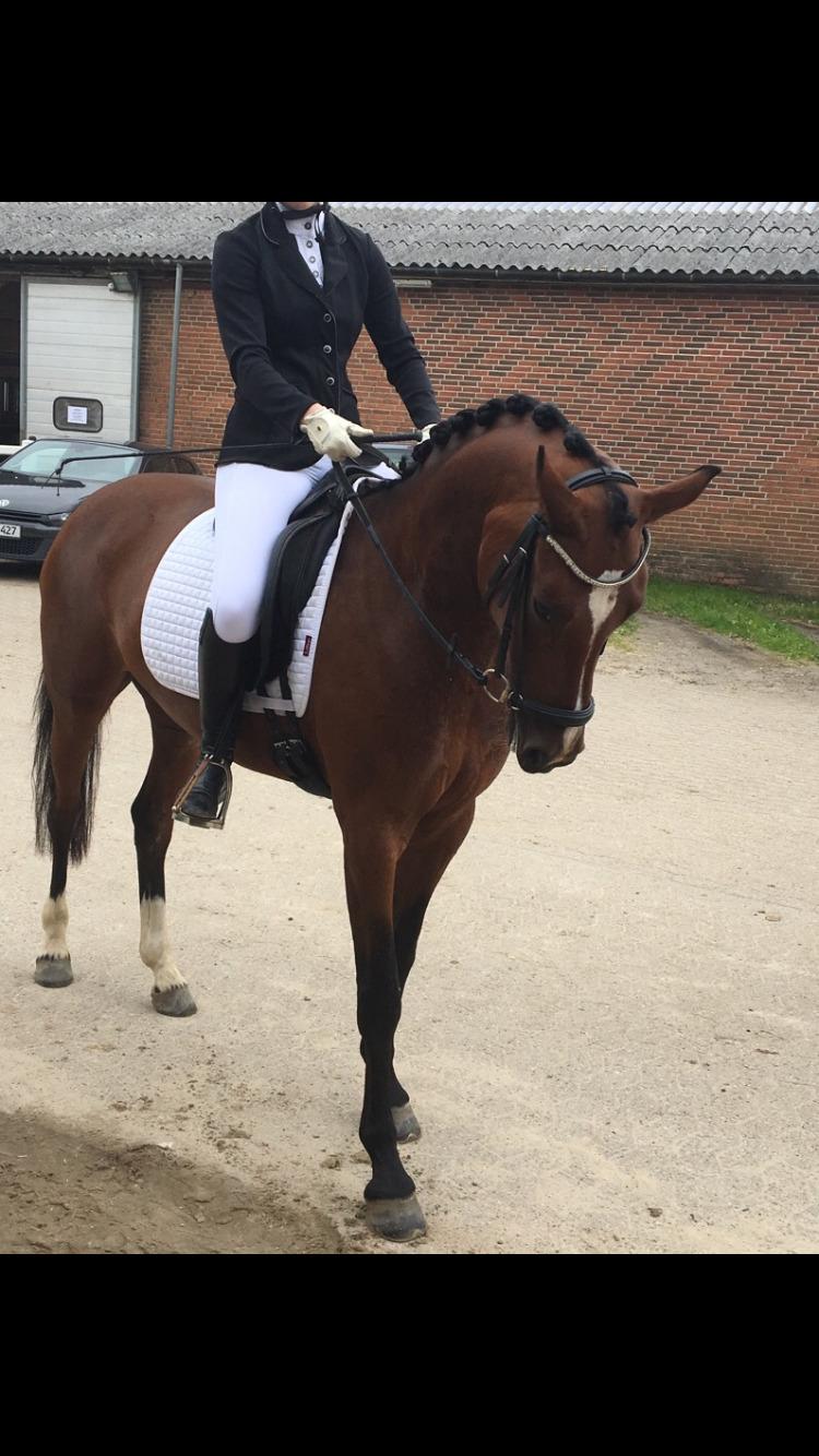 DSP Jq café latte hit billede 9