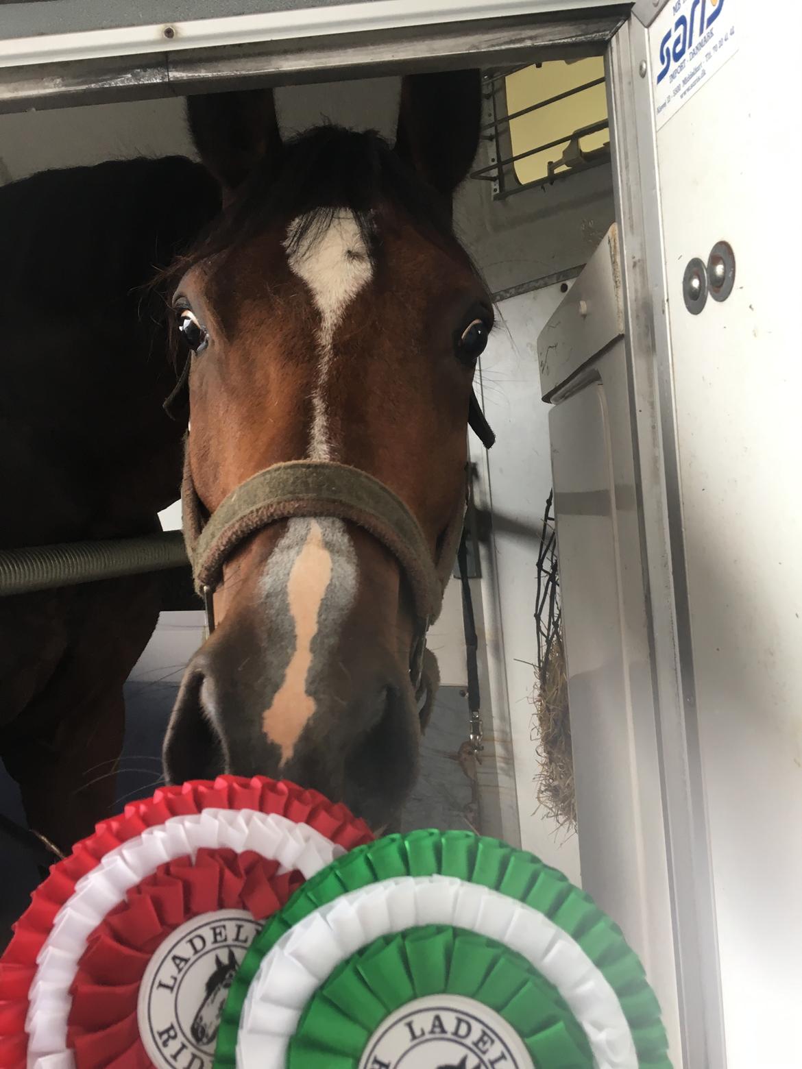 DSP Jq café latte hit billede 10