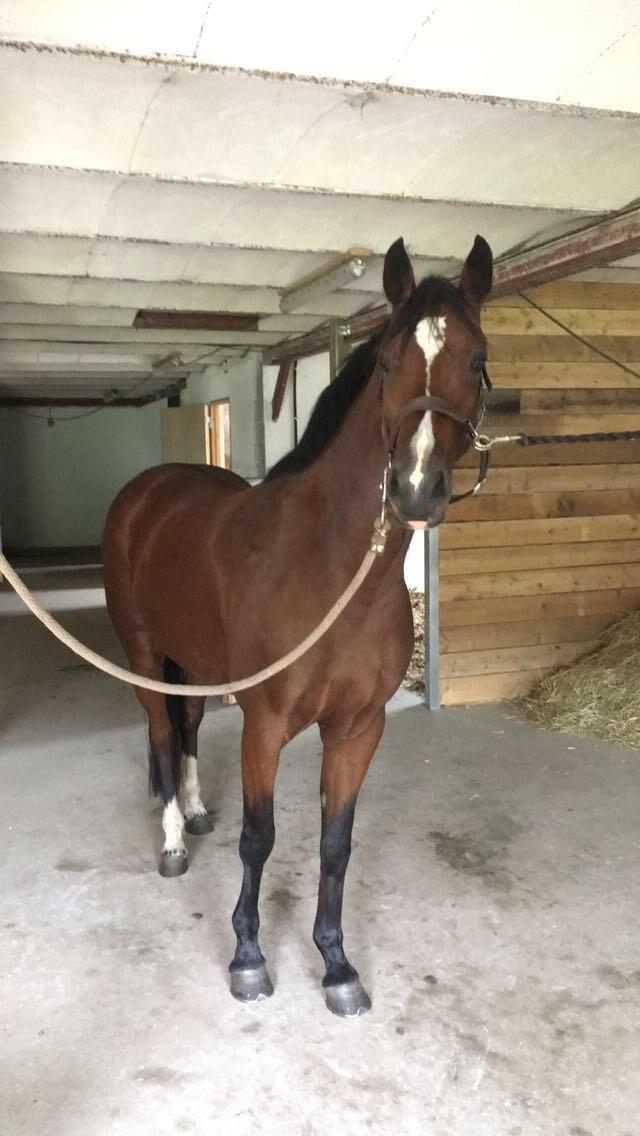 DSP Jq café latte hit billede 7