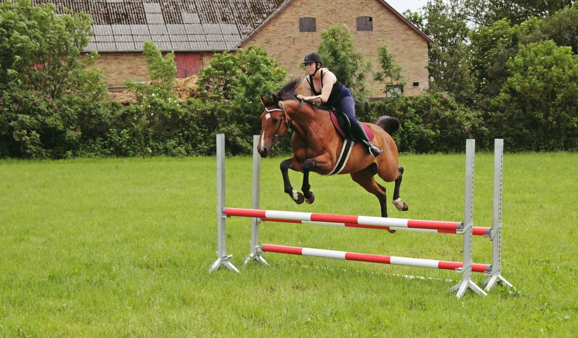 Traver Tijex Coyote billede 4