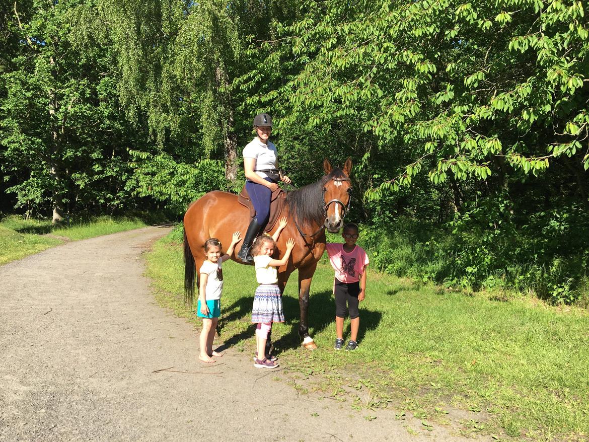 Traver Tijex Coyote billede 20