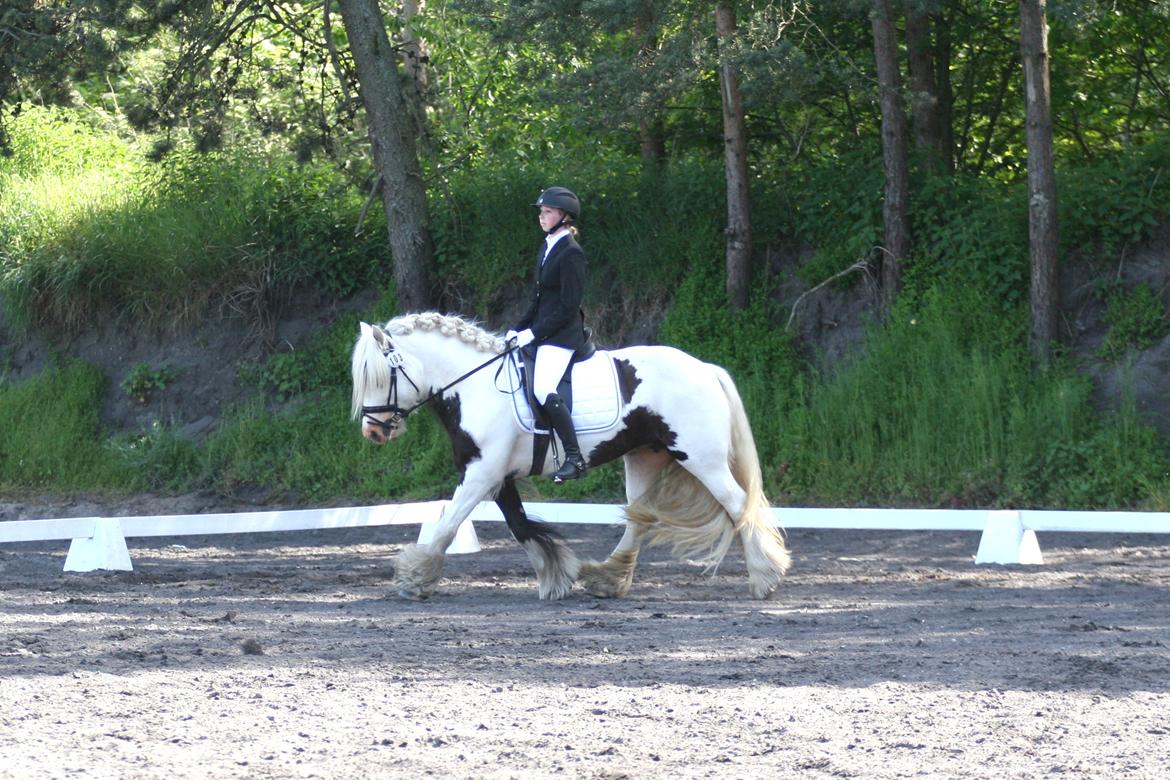 Irish Cob Whiteface (Gypsy) - Part - Militarystævne Kallehavegaard Rideklub 31/5-18 Foto: Laura Kløve Andersen billede 9