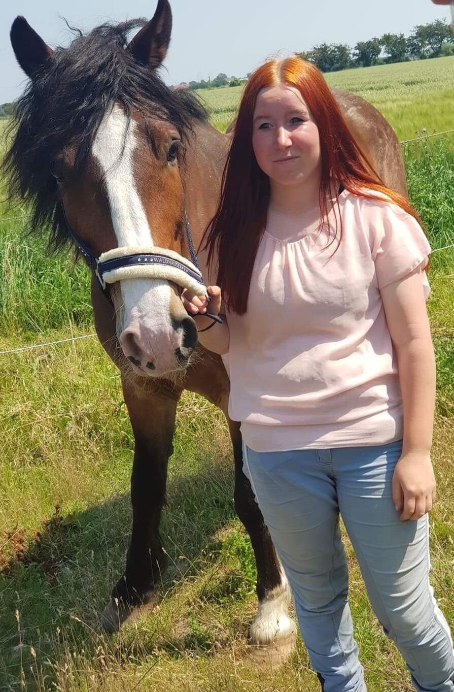 Koldblodstraver Ludde S.R. (Himmelhest) billede 16