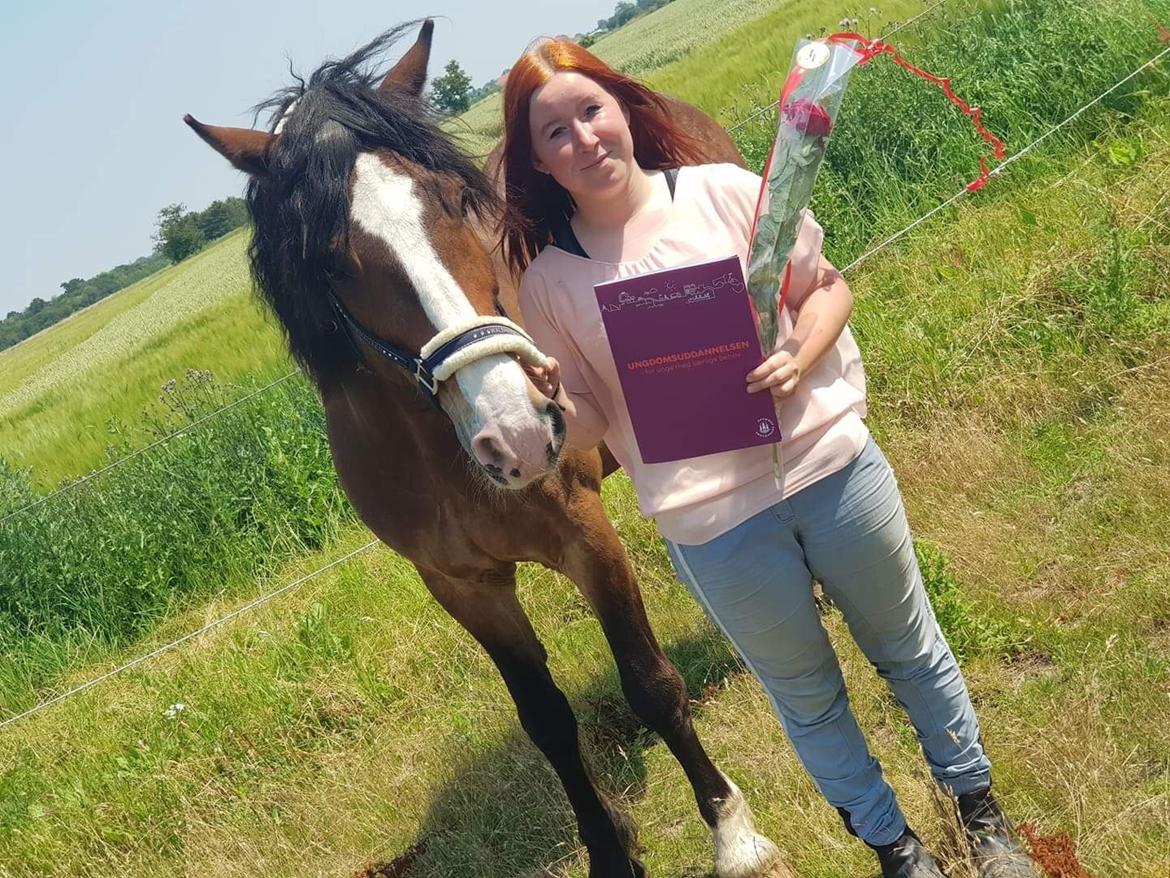 Koldblodstraver Ludde S.R. (Himmelhest) billede 17