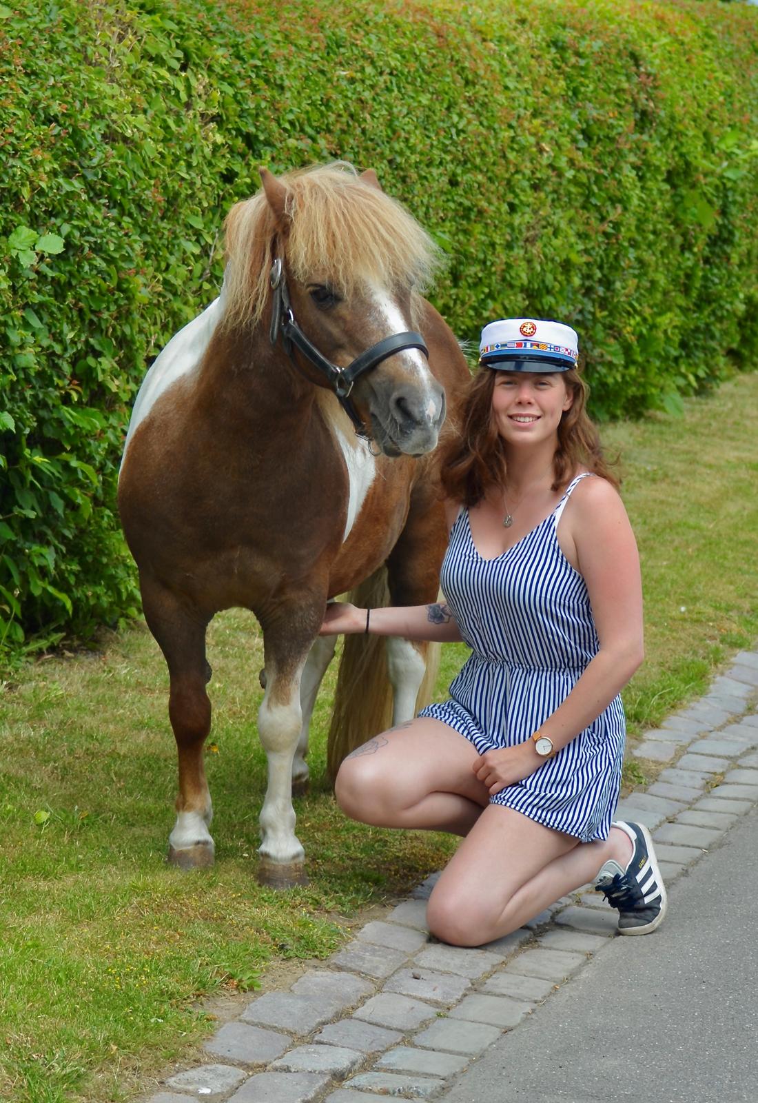 Anden særlig race Bob billede 4