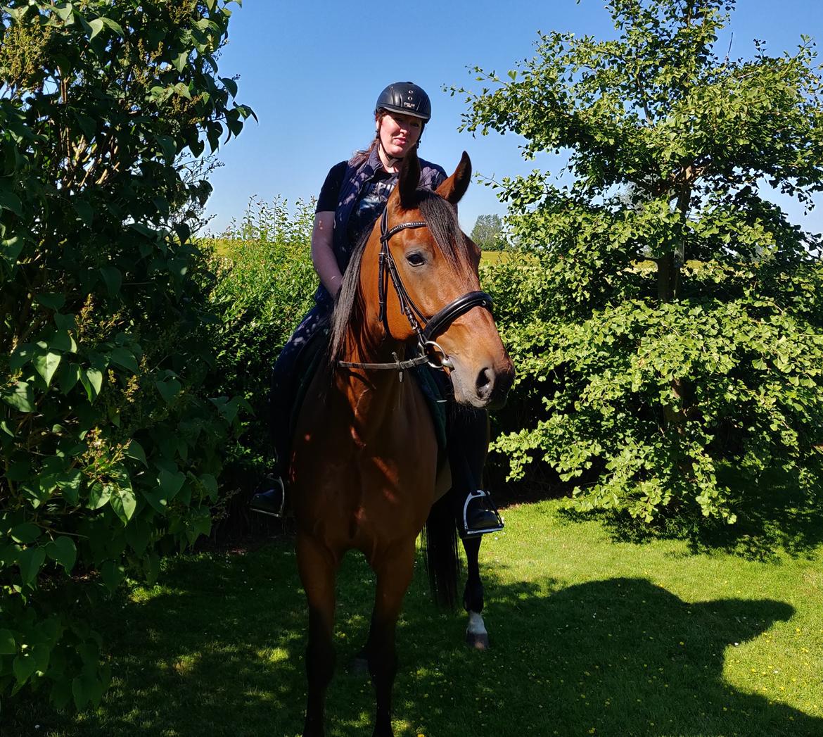 Traver Dario Mykla billede 1