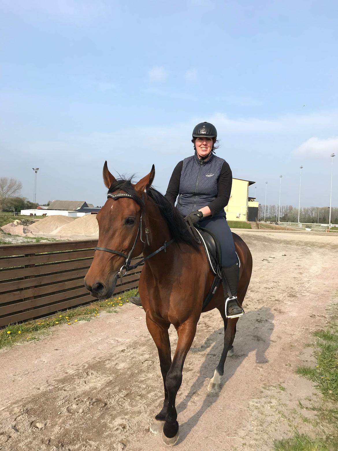 Traver Dario Mykla billede 8