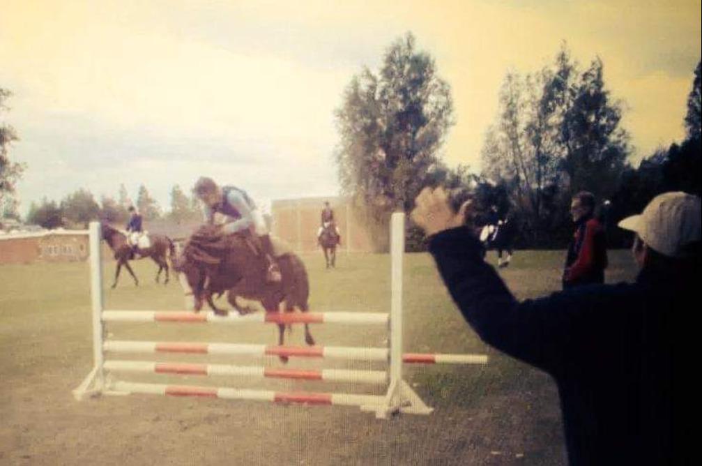 Welsh Mountain (sec A) Mosedalens Kiro-BasseMand - Himmelhest billede 22