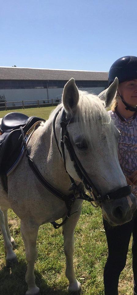 Anden særlig race Tequila billede 8