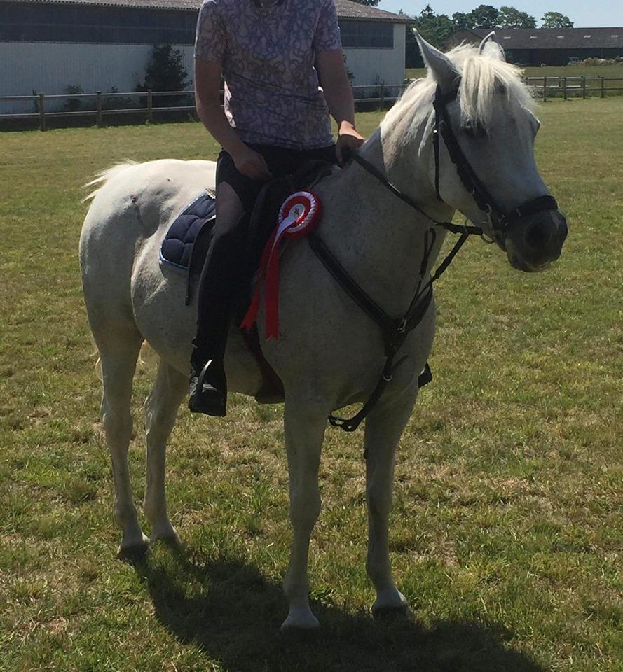 Anden særlig race Tequila billede 12