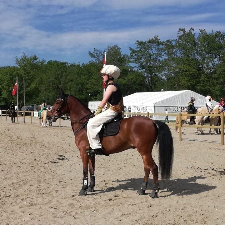 DSP Stidsbjergs Poncho - Da vi red med i Roskilde Dyreskues store hesteshow 2018 billede 15