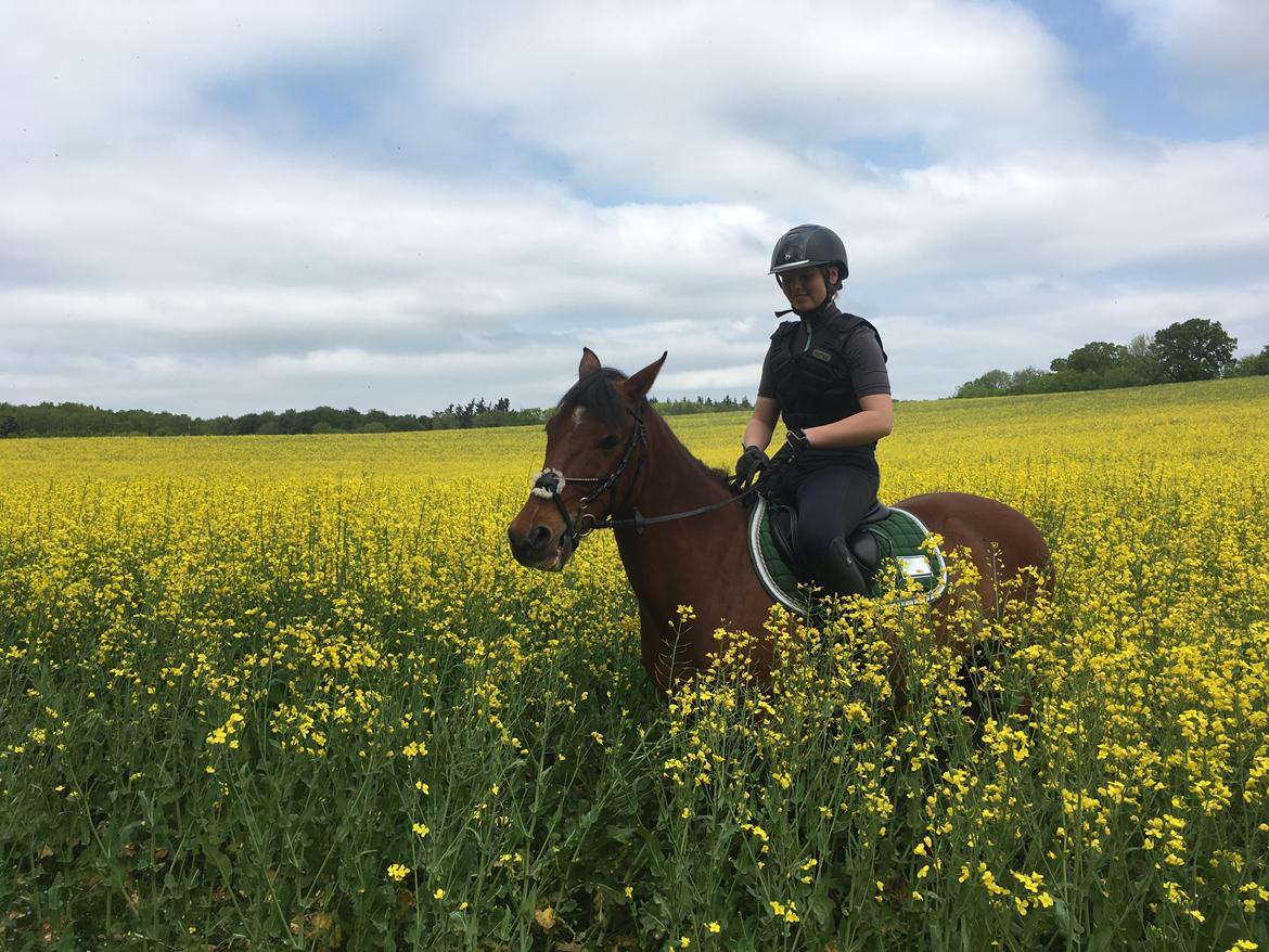 DSP Stidsbjergs Poncho billede 18