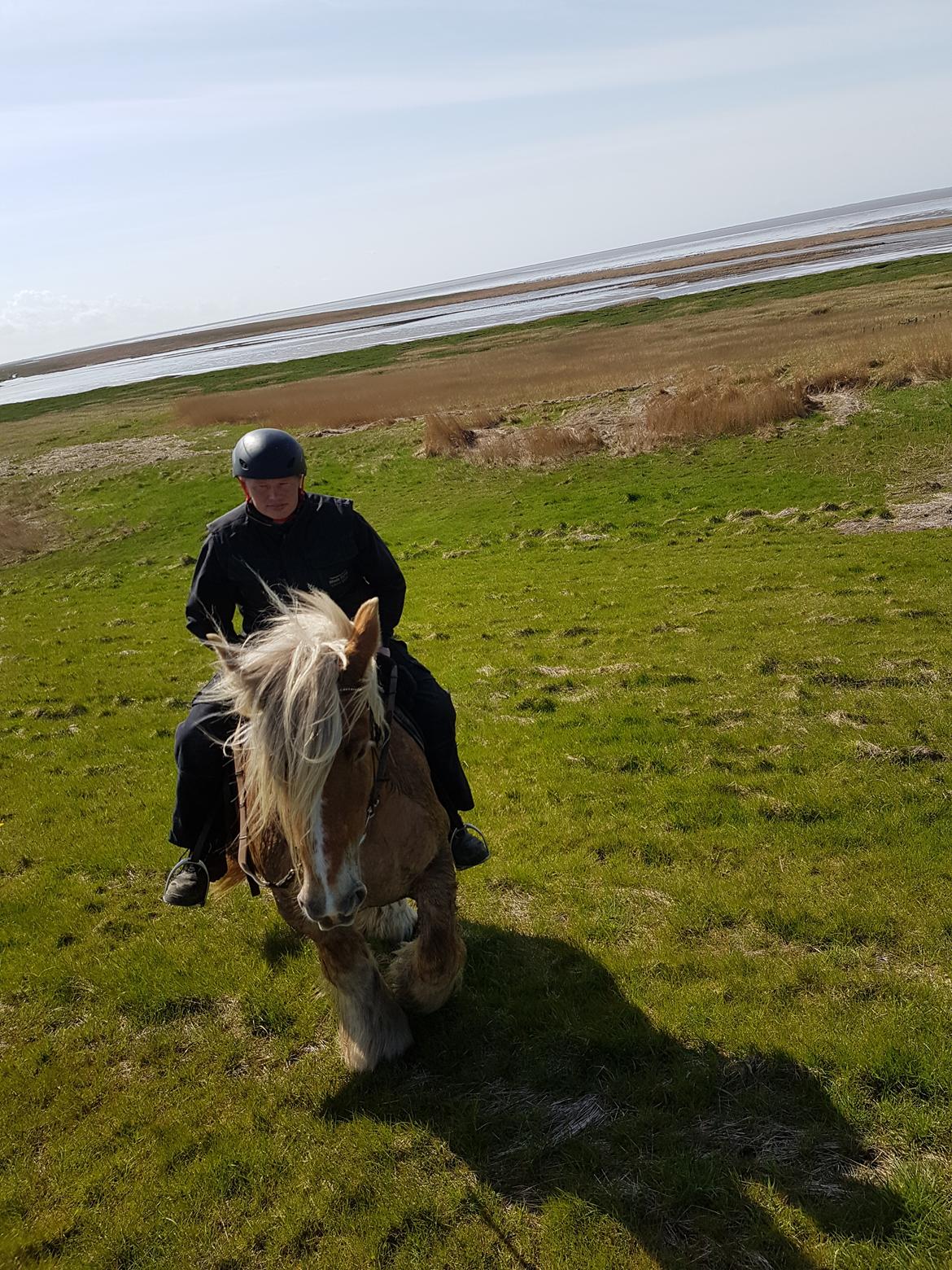 Jyde Emma fra svane billede 4