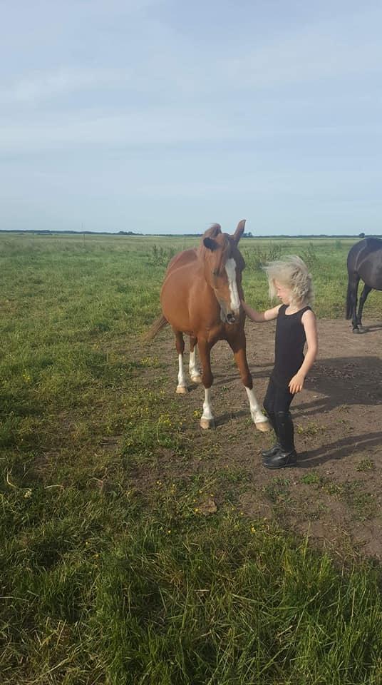 Anden særlig race Askepot billede 7