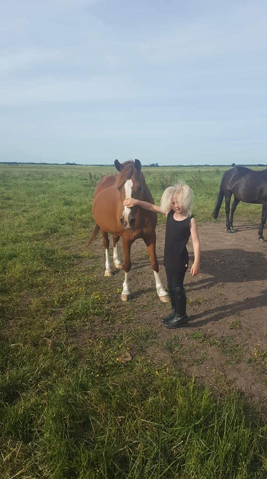 Anden særlig race Askepot billede 3