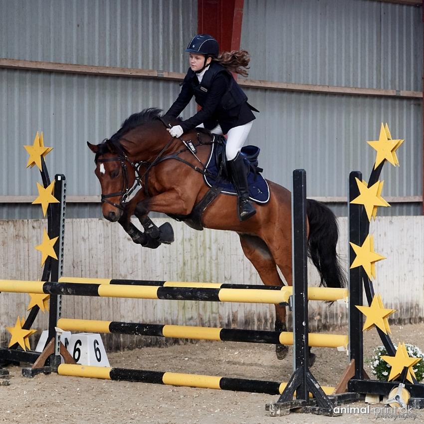 DSP Lazione kærlund billede 15