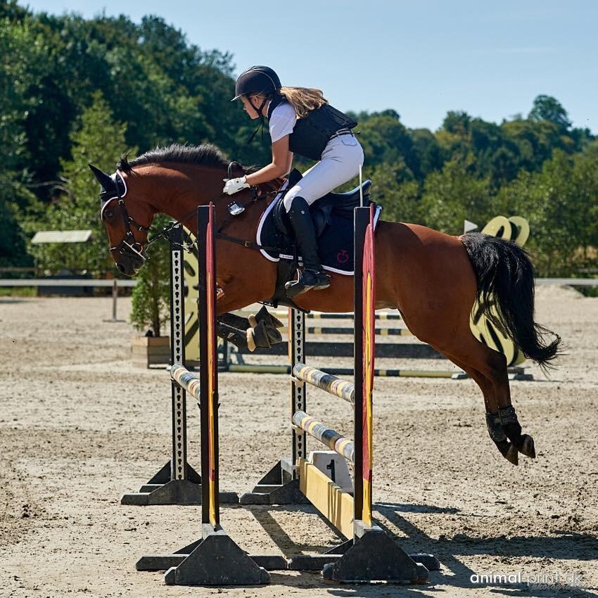 DSP Lazione kærlund billede 19