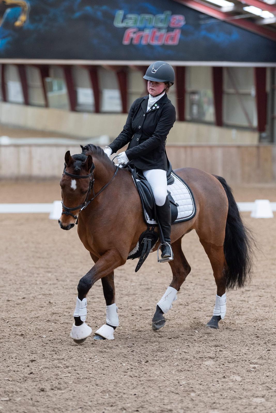 DSP Lazione kærlund billede 20