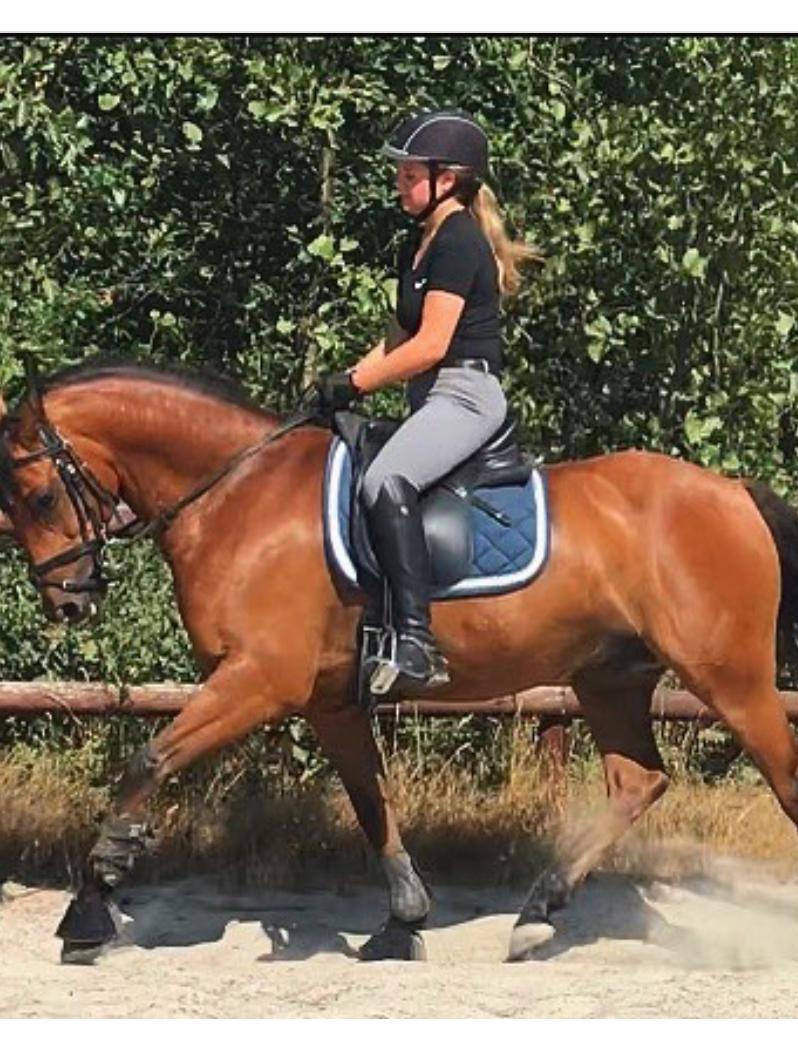 DSP Lazione kærlund billede 18