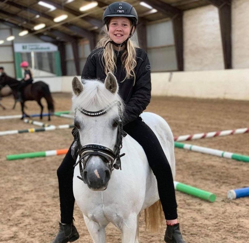 Welsh Mountain (sec A) Gribvads Nisa billede 7