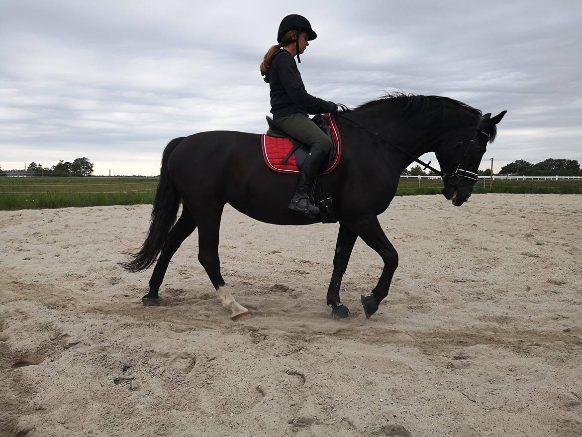 Anden særlig race wanilia billede 8