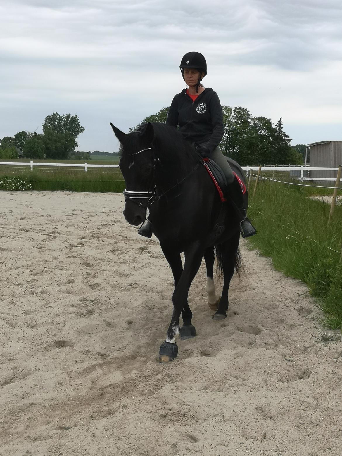 Anden særlig race wanilia billede 9