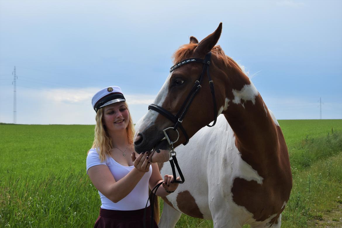 Anden særlig race Thusgaard's Yakari billede 4