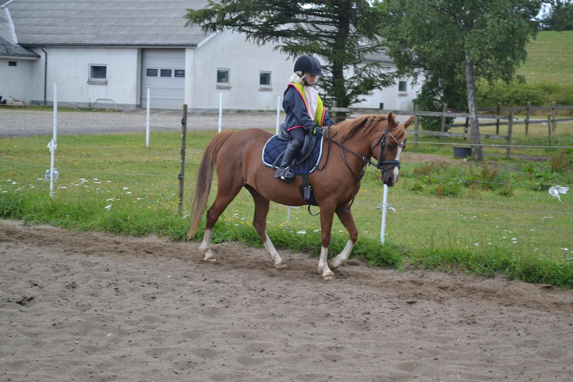 Anden særlig race Askepot billede 22
