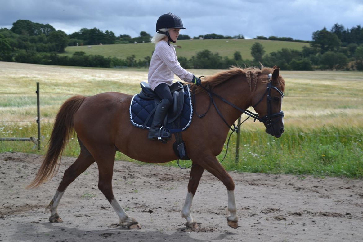 Anden særlig race Askepot billede 24