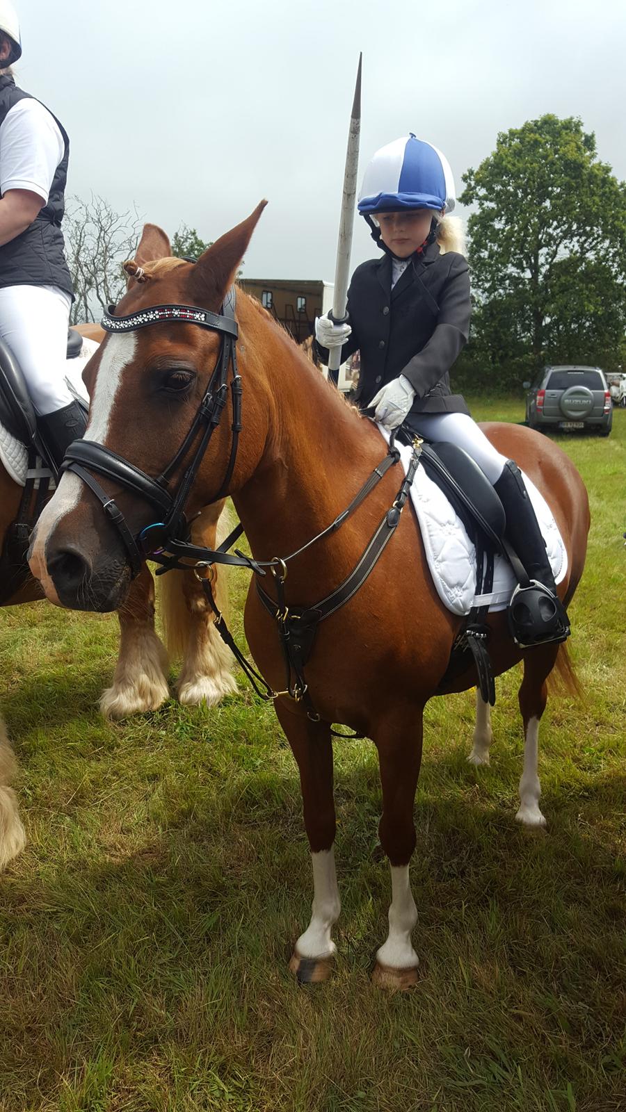 Anden særlig race Askepot billede 28