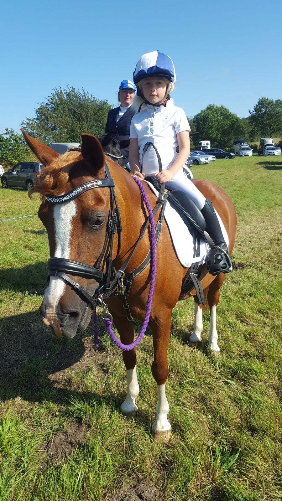 Anden særlig race Askepot billede 30