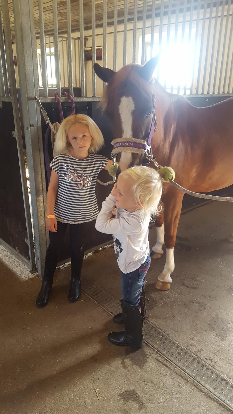 Anden særlig race Askepot billede 32