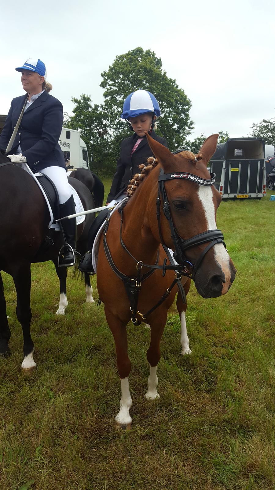 Anden særlig race Askepot billede 29