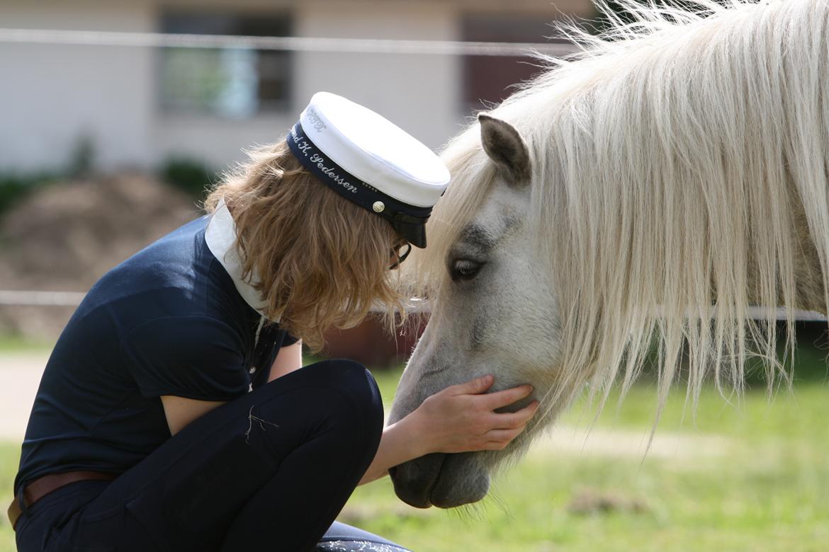 Shetlænder Bådsgårds Bolero (Lero) - Billedet er taget af Elene Miella Photography billede 5