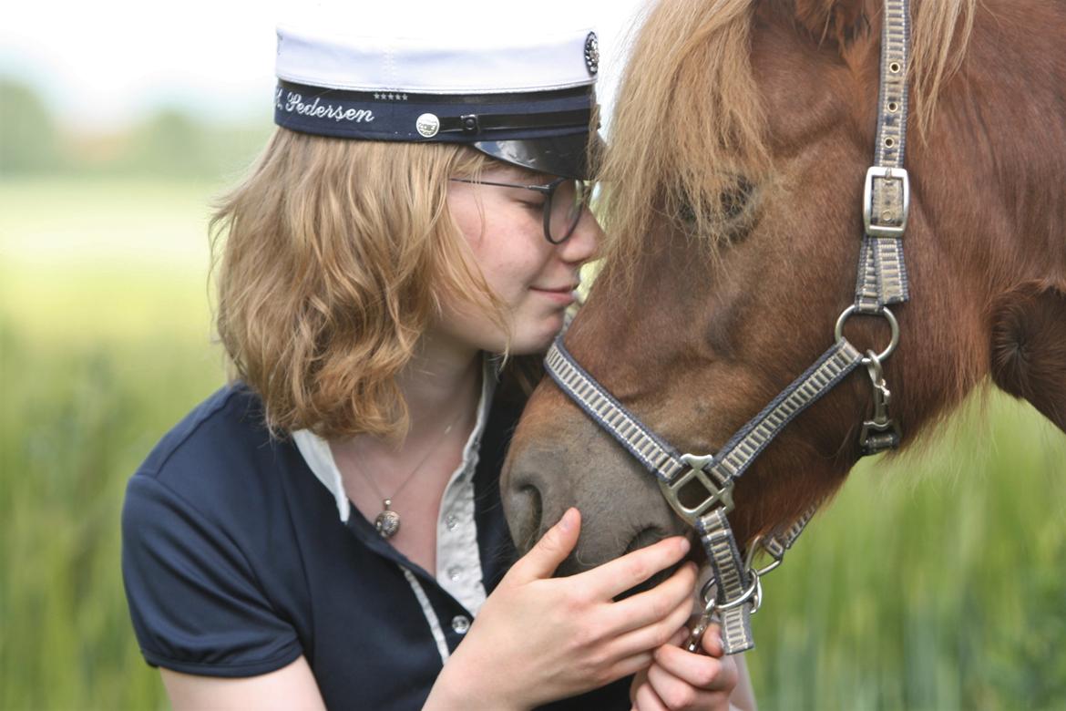 Shetlænder Bådsgårds Baronesse (Nesse) - Billedet er taget af Elene Miella Photography. billede 1