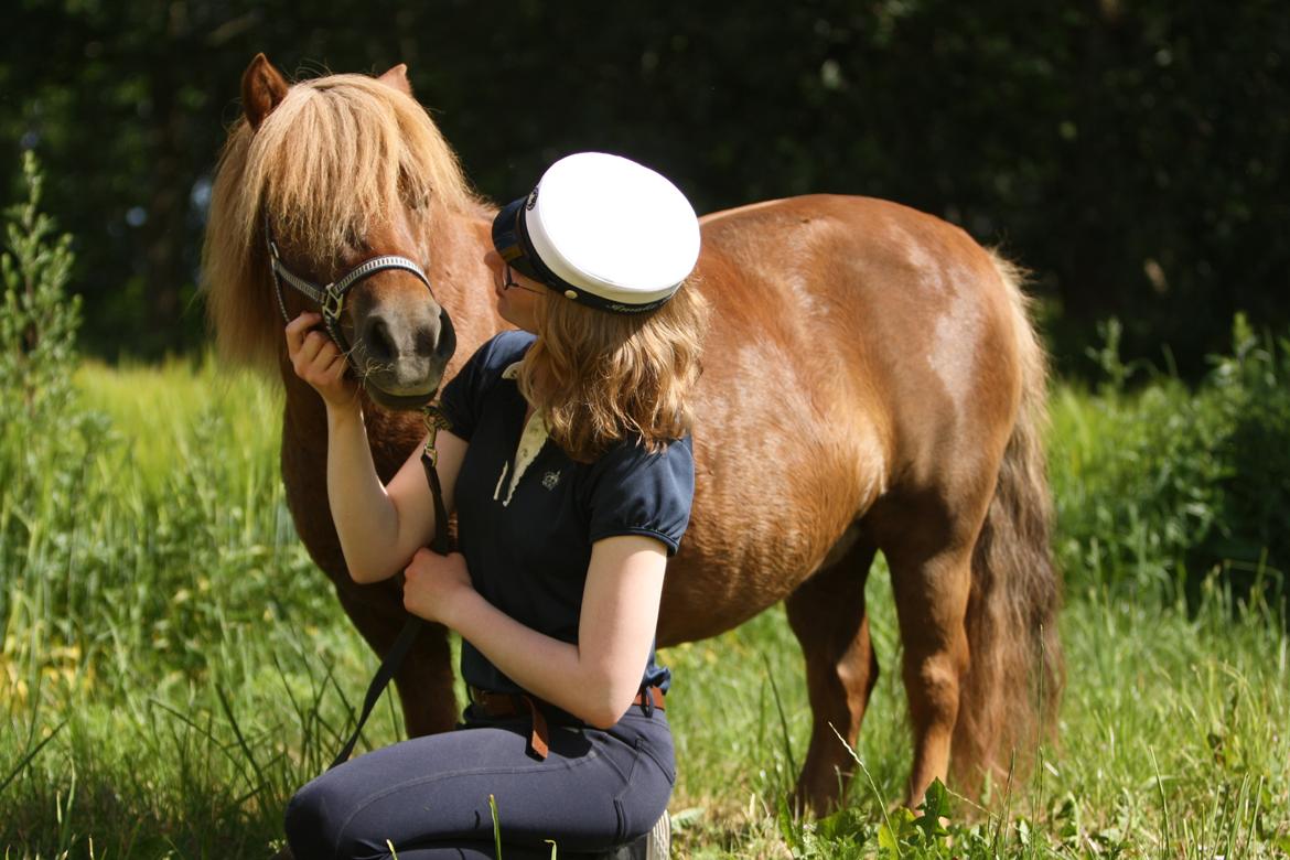 Shetlænder Bådsgårds Baronesse (Nesse) - Billedet er taget af Elene Miella Photography. billede 6