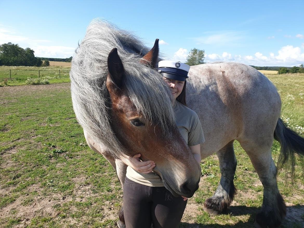 Belgier Beatrice af Skelmosegaard billede 4