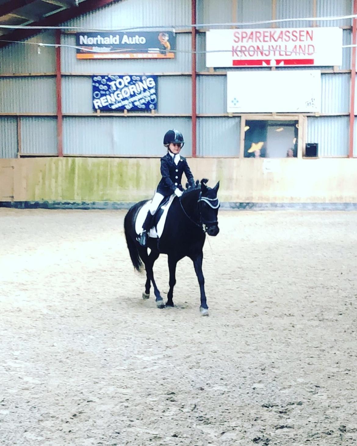 Anden særlig race Felix billede 22