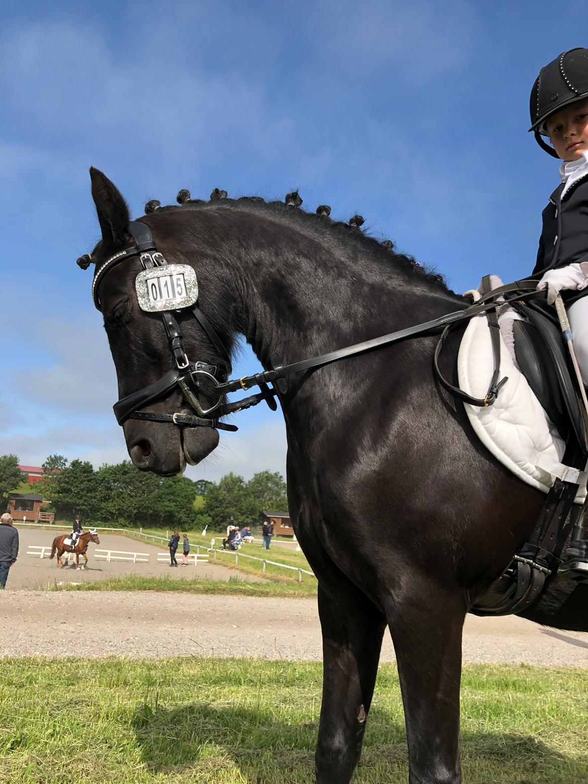 Anden særlig race Felix billede 28