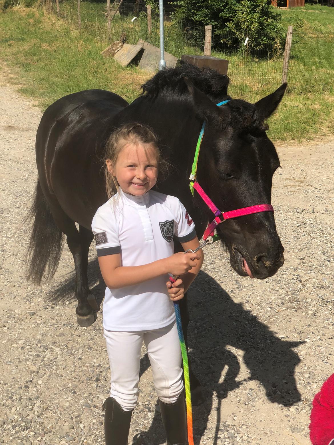 Anden særlig race Felix billede 29