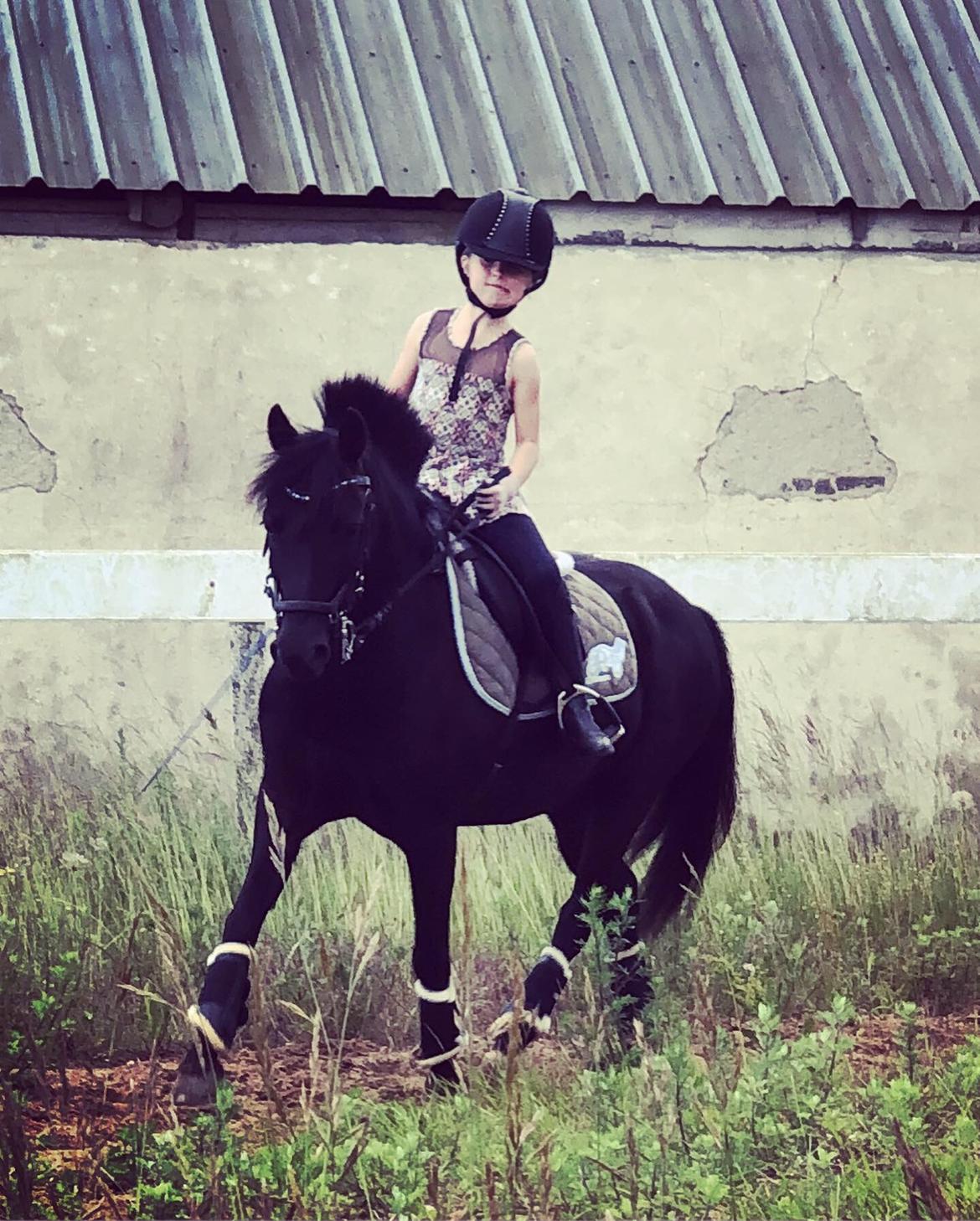 Anden særlig race Felix billede 32