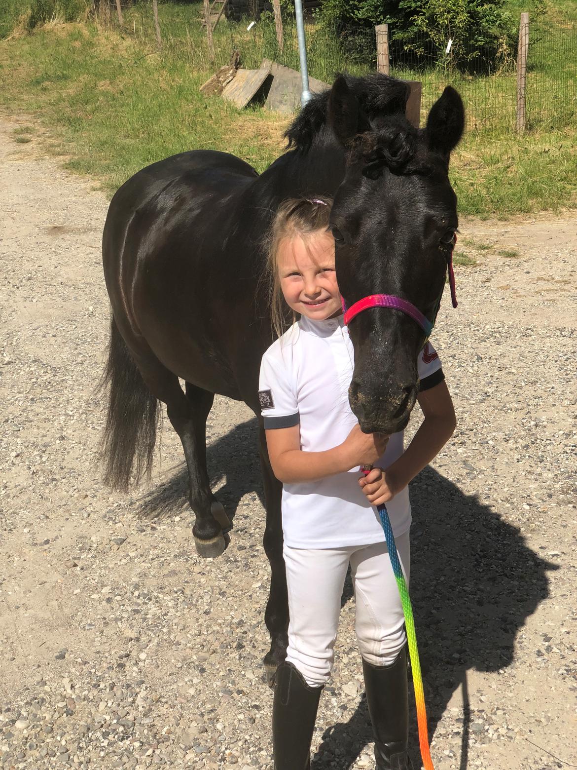 Anden særlig race Felix billede 30