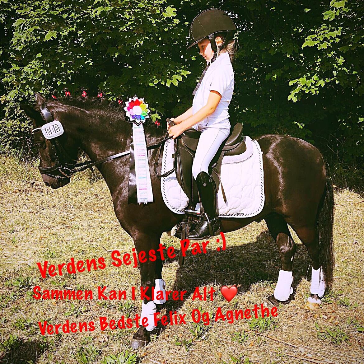 Anden særlig race Felix billede 35