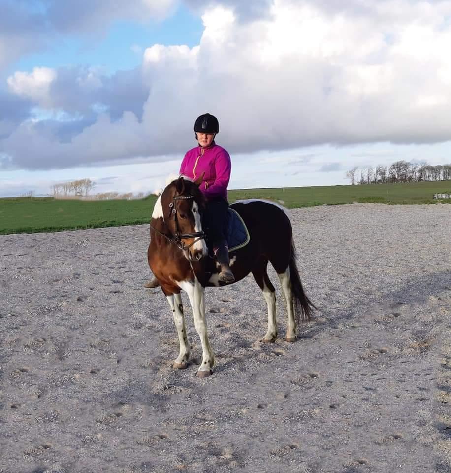 Pinto Vidtskue's Filly - føst gane alner uden på tur og udenbane  billede 9