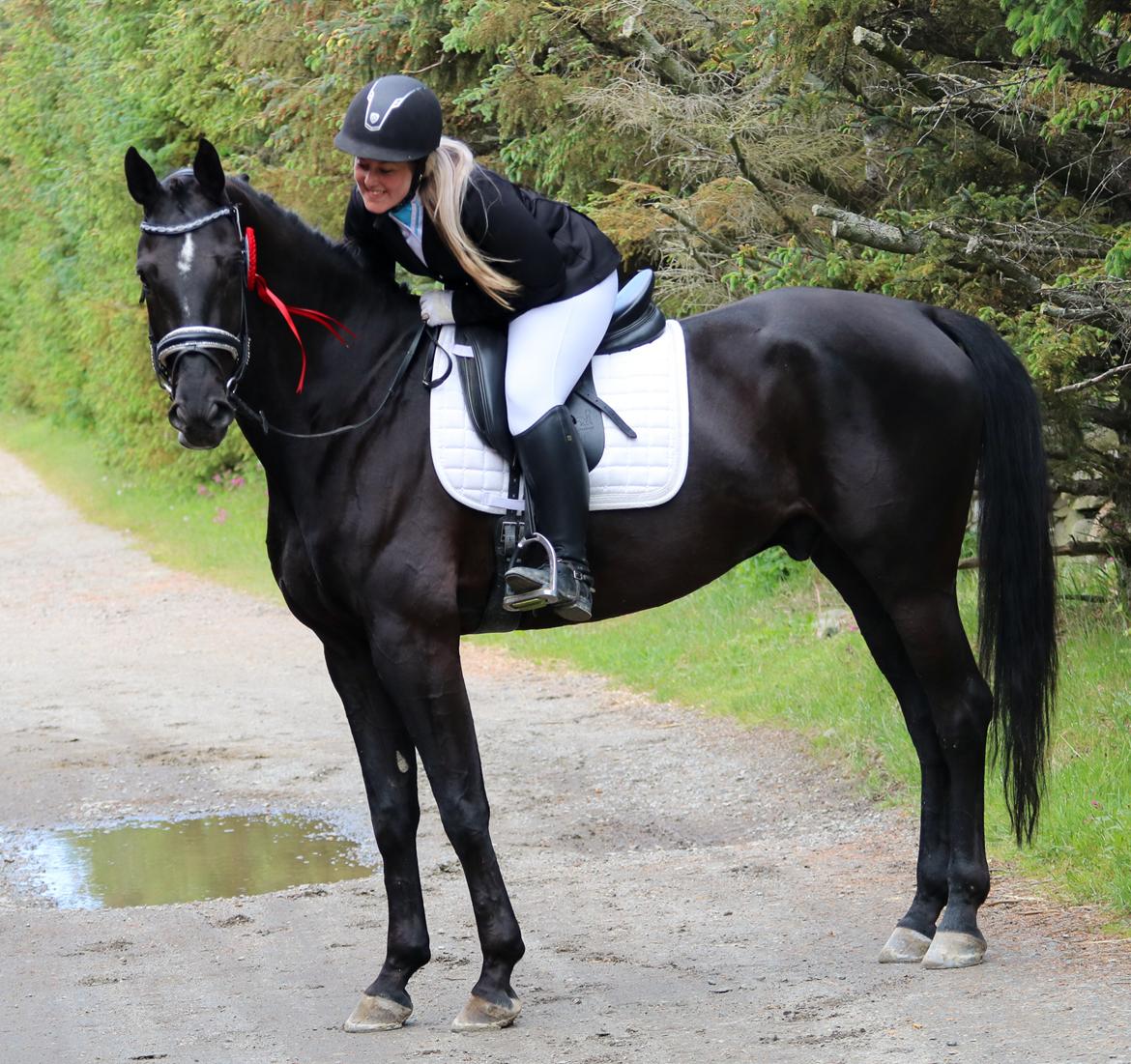 Dansk Varmblod Maloba`s Sir Donnerline billede 11