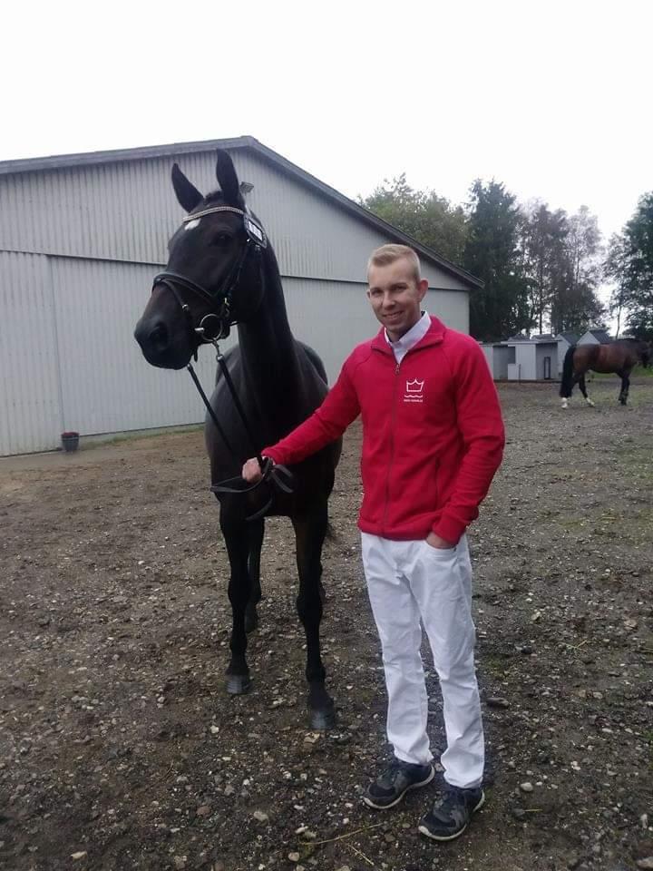 Dansk Varmblod Remember Me By Friis SOLGT billede 5