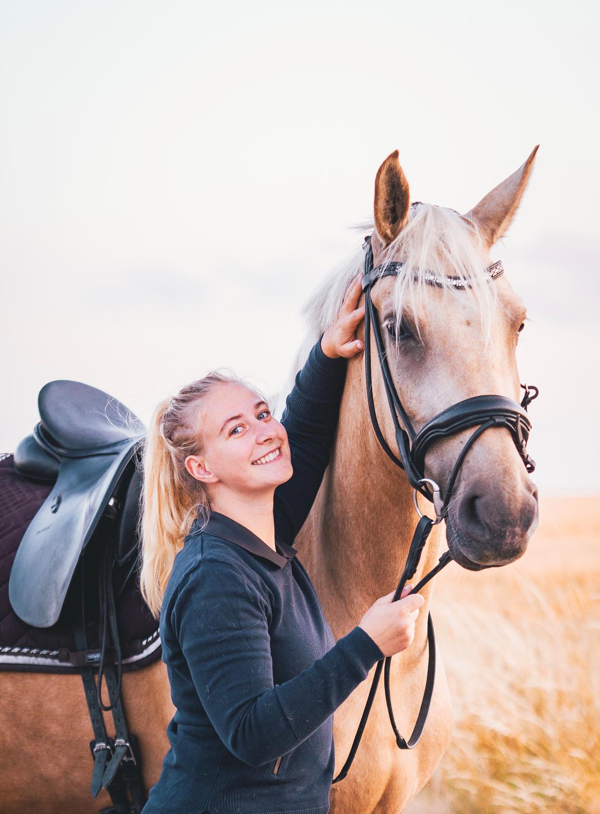 Palomino Trollelys Hemera billede 4