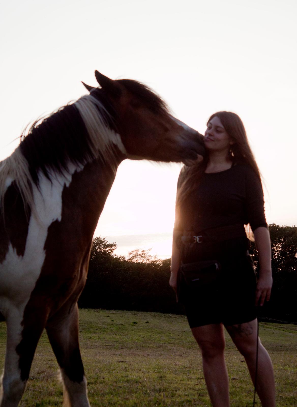 Anden særlig race Sir Louis of Gundelach billede 20