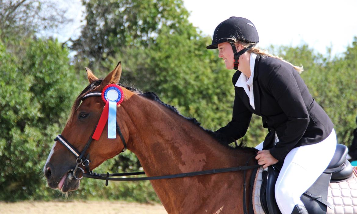 Traver Tijex Coyote billede 13